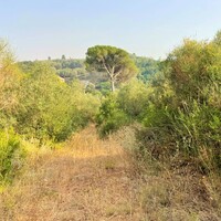 Island in Greece, Ionian Islands, Corfu, 21000 sq.m.