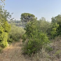 Island in Greece, Ionian Islands, Corfu, 21000 sq.m.
