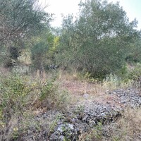 Island in Greece, Ionian Islands, Corfu, 21000 sq.m.