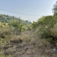 Island in Greece, Ionian Islands, Corfu, 21000 sq.m.
