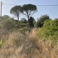 Island in Greece, Ionian Islands, Corfu, 21000 sq.m.