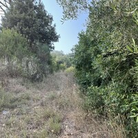 Island in Greece, Ionian Islands, Corfu, 21000 sq.m.