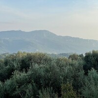 Остров в Греции, Ионические острова, Корфу, 4027 кв.м.