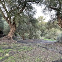 Остров в Греции, Ионические острова, Корфу, 4027 кв.м.