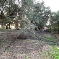 Остров в Греции, Ионические острова, Корфу, 4027 кв.м.