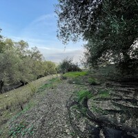 Остров в Греции, Ионические острова, Корфу, 4027 кв.м.