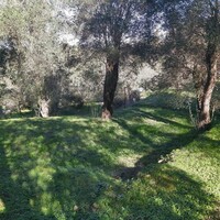 Остров в Греции, Ионические острова, Корфу, 7000 кв.м.