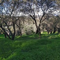 Остров в Греции, Ионические острова, Корфу, 7000 кв.м.