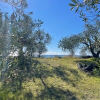 Island in Greece, Ionian Islands, Corfu, 5000 sq.m.