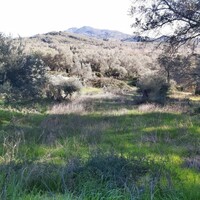 Island in Greece, Ionian Islands, Corfu, 44872 sq.m.
