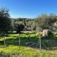Island in Greece, Ionian Islands, Corfu, 4500 sq.m.