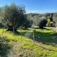 Island in Greece, Ionian Islands, Corfu, 4500 sq.m.