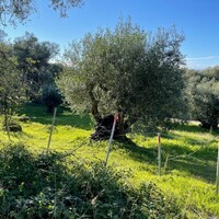Island in Greece, Ionian Islands, Corfu, 4500 sq.m.