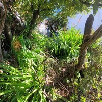 Island in Greece, Ionian Islands, Corfu, 115 sq.m.