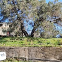 Island in Greece, Ionian Islands, Corfu, 335 sq.m.