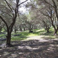 Остров в Греции, Ионические острова, Корфу, 8000 кв.м.