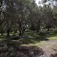Остров в Греции, Ионические острова, Корфу, 8000 кв.м.