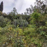 Остров в Греции, Ионические острова, Корфу, 432 кв.м.