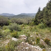 Остров в Греции, Ионические острова, Корфу, 4000 кв.м.
