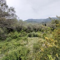 Остров в Греции, Ионические острова, Корфу, 4000 кв.м.