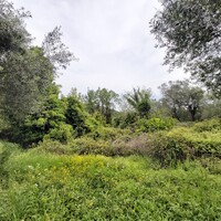 Остров в Греции, Ионические острова, Корфу, 1355 кв.м.