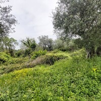 Остров в Греции, Ионические острова, Корфу, 1355 кв.м.