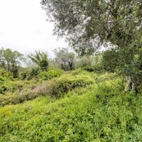 Остров в Греции, Ионические острова, Корфу, 1355 кв.м.