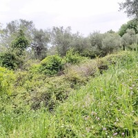 Остров в Греции, Ионические острова, Корфу, 1355 кв.м.