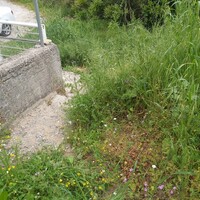 Остров в Греции, Ионические острова, Корфу, 1355 кв.м.