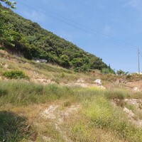 Остров в Греции, Ионические острова, Корфу, 6000 кв.м.