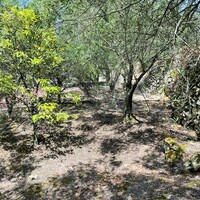 Остров в Греции, Ионические острова, Корфу, 1222 кв.м.