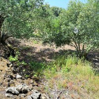 Остров в Греции, Ионические острова, Корфу, 1222 кв.м.