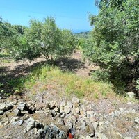 Остров в Греции, Ионические острова, Корфу, 1222 кв.м.