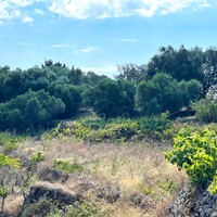 Остров в Греции, Ионические острова, Корфу, 1222 кв.м.