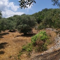 Остров в Греции, Ионические острова, Корфу, 4400 кв.м.
