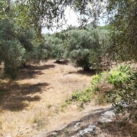 Остров в Греции, Ионические острова, Корфу, 4400 кв.м.