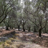 Остров в Греции, Ионические острова, Корфу, 7200 кв.м.