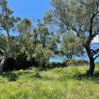 Island in Greece, Ionian Islands, Corfu, 2044 sq.m.
