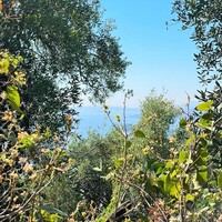 Island in Greece, Ionian Islands, Corfu, 90000 sq.m.