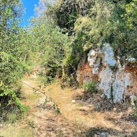 Island in Greece, Ionian Islands, Corfu, 90000 sq.m.