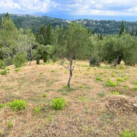 Island in Greece, Ionian Islands, Corfu, 2120 sq.m.