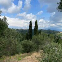 Island in Greece, Ionian Islands, Corfu, 2120 sq.m.