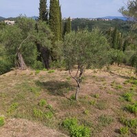 Island in Greece, Ionian Islands, Corfu, 2120 sq.m.