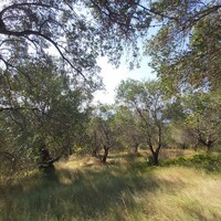 Остров в Греции, Ионические острова, Корфу, 4500 кв.м.