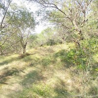 Остров в Греции, Ионические острова, Корфу, 4500 кв.м.