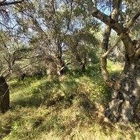 Остров в Греции, Ионические острова, Корфу, 4500 кв.м.