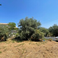 Остров в Греции, Ионические острова, Корфу, 308 кв.м.