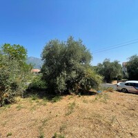 Остров в Греции, Ионические острова, Корфу, 308 кв.м.