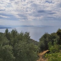 Остров в Греции, Ионические острова, Корфу, 18000 кв.м.