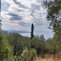 Остров в Греции, Ионические острова, Корфу, 18000 кв.м.